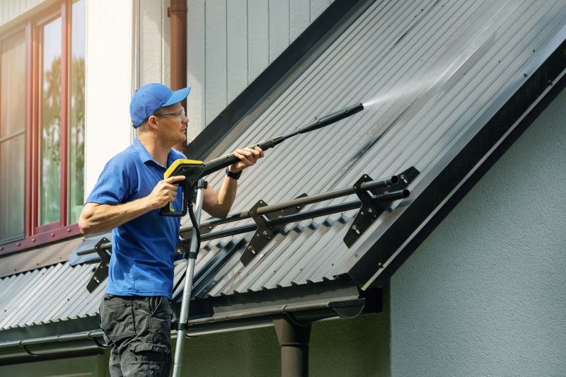 Roofline Cleaning