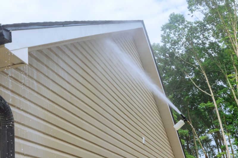 Vinyl Siding Cleaning