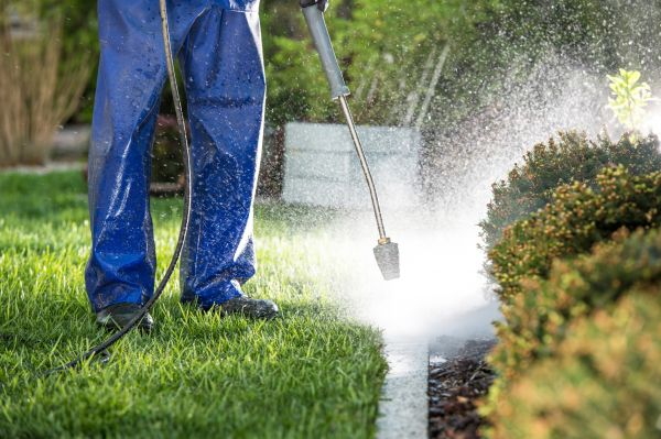 Curb Cleaning in Binghamton
