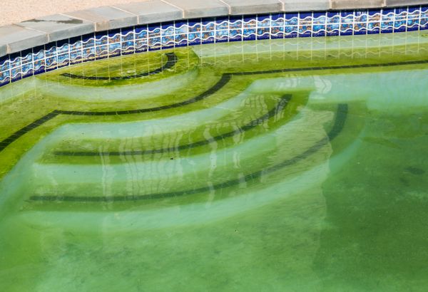 Pool Deck Algae Removal in Binghamton