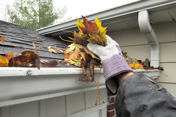 Eaves Cleaning in Binghamton