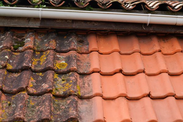 Industrial Roof Cleaning in Binghamton