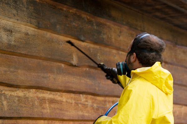 Cedar Siding Washing in Binghamton